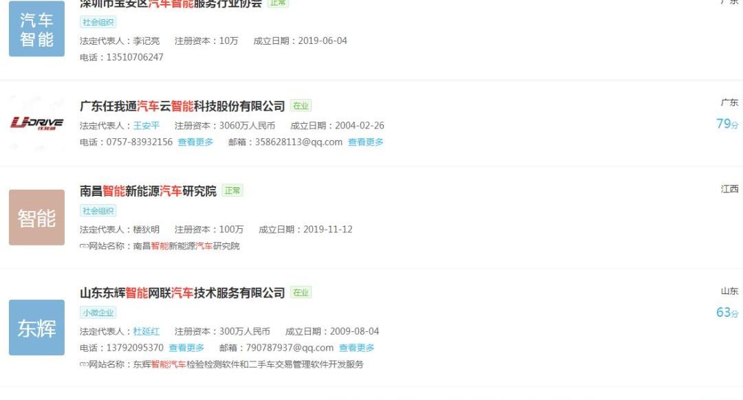 特斯拉,宝马,斑马,炮,现代