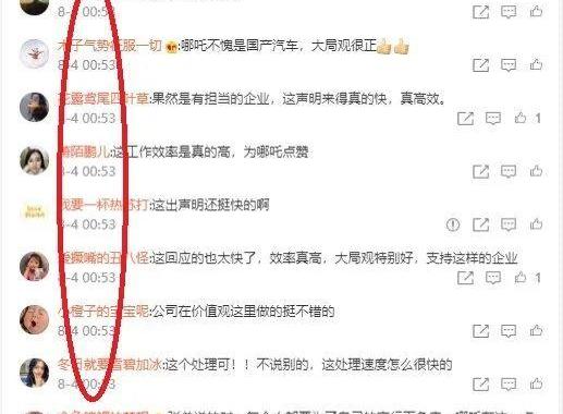 哪吒汽车,蔚来,小鹏,合创,理想汽车