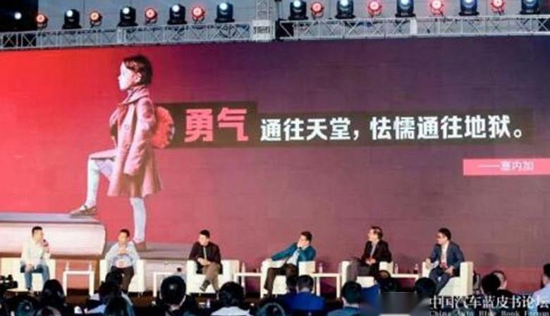 斑马,一汽,红旗,特斯拉,北京