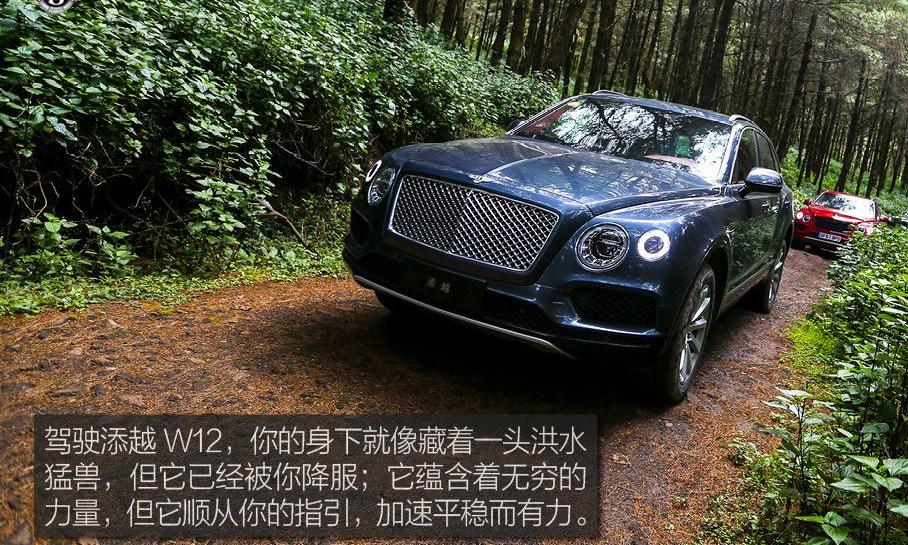 添越,宾利,欧陆