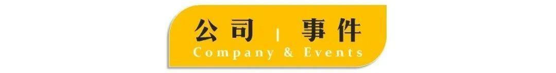 比亚迪,理念,现代