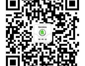 明锐,大众,斯柯达,魔方,骆驼