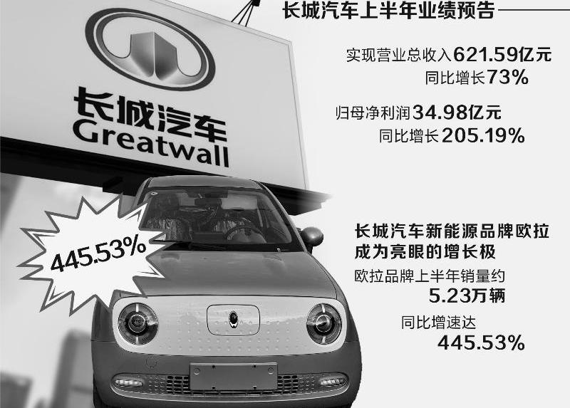长城,欧拉,哈弗,比亚迪,东风