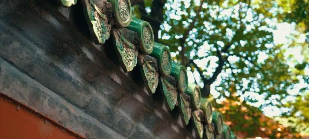 北京,逸动,长安,鲸,现代