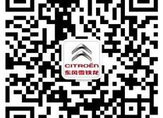 雪铁龙,汉,东风,标致,理念