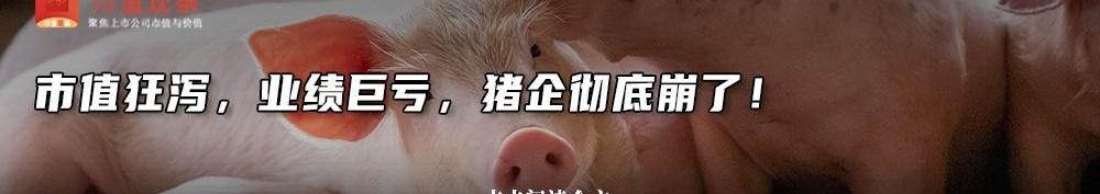 蔚来,小鹏,特斯拉,宾利,大众