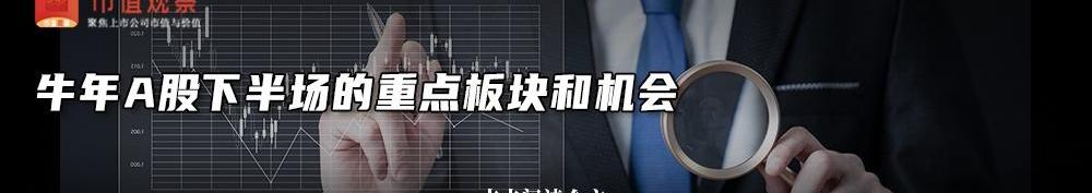 蔚来,小鹏,特斯拉,宾利,大众