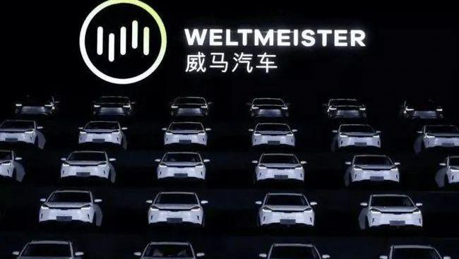 威马汽车,比亚迪,理念,埃安,AION S