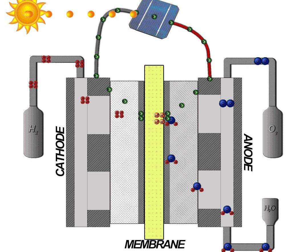 比亚迪,丰田,长城,发现,奇瑞