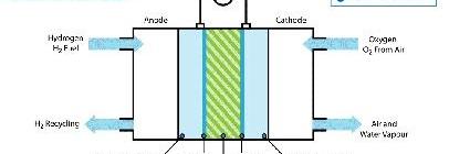 比亚迪,丰田,长城,发现,奇瑞