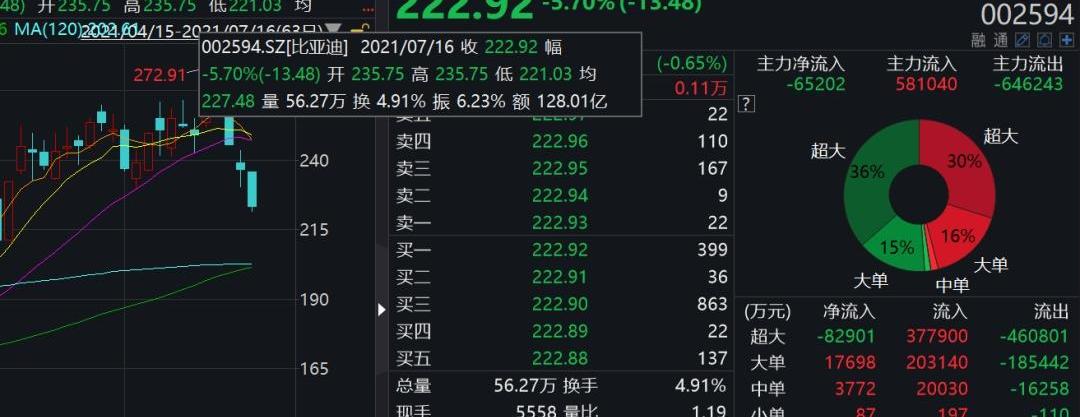 比亚迪,世纪,发现,特斯拉