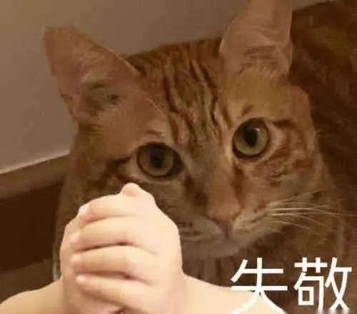 比亚迪,仰望,奔驰,腾势,炮