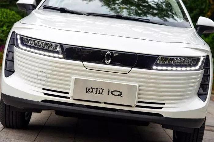 欧拉,长城,MINI,欧拉好猫,欧拉黑猫