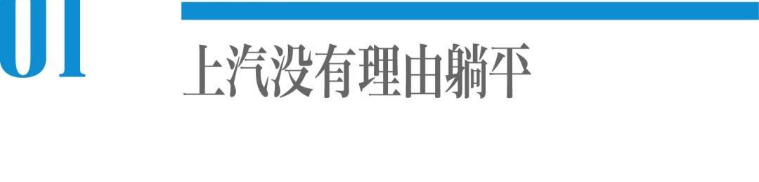 大众,荣威,长安,蔚来,奔驰