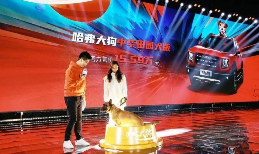 哈弗,哈弗大狗,哈弗初恋,长城,哈弗H6
