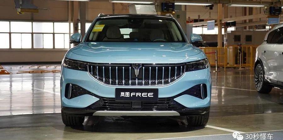 东风,岚图汽车