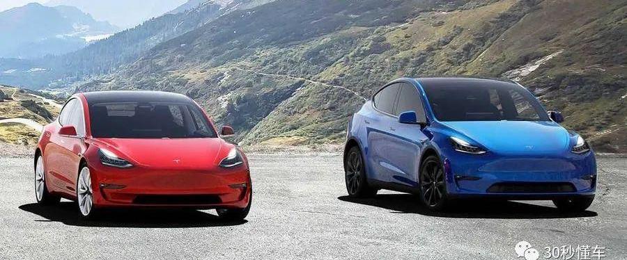 特斯拉,Model 3,发现,Model Y