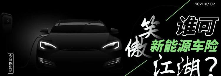 现代,发现,远程