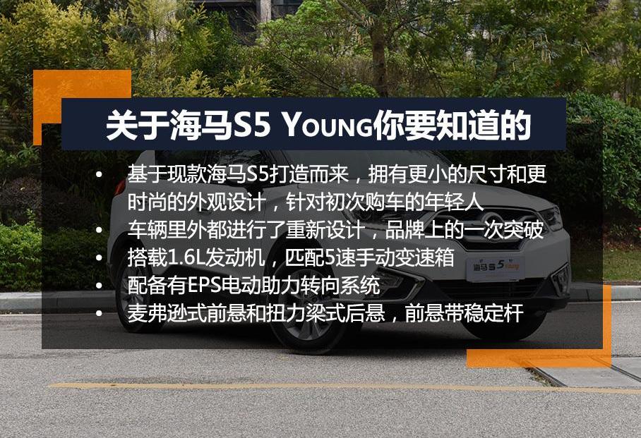 海马,理念,海鸥