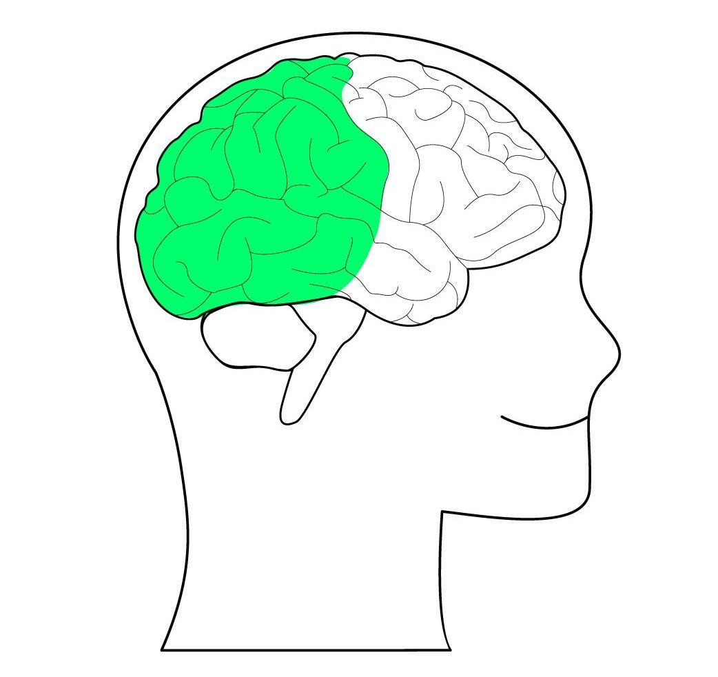 特斯拉,远程,宝马,大众,Model 3