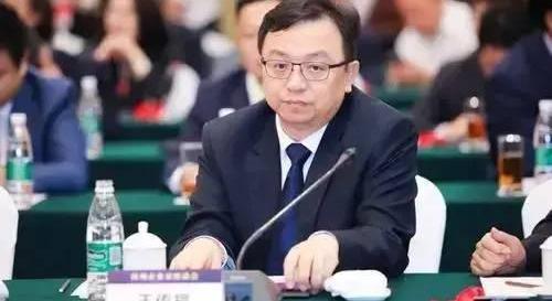比亚迪,奇瑞