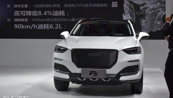 哈弗,远程,哈弗H6,DS