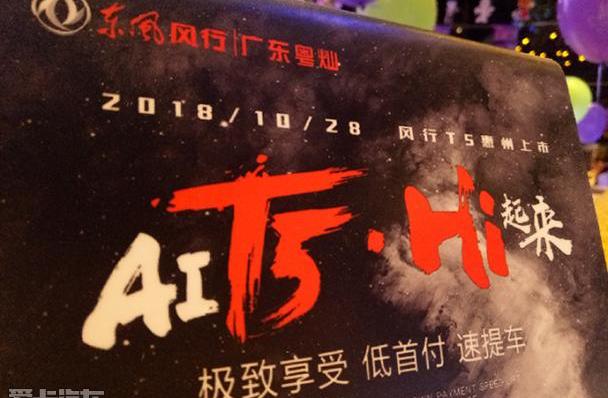 风行T5,东风风行,东风