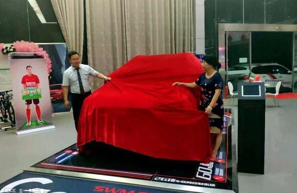 SWM斯威汽车,奥迪,丰田,理念,荣威