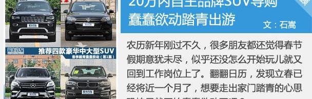 海马,哈弗,奇瑞,瑞虎3,炮