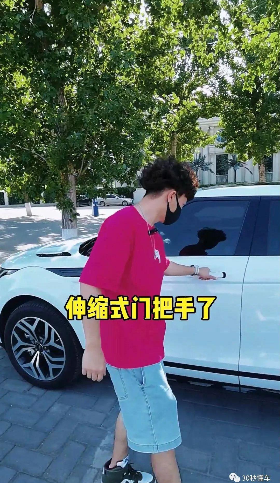 揽胜,揽胜极光