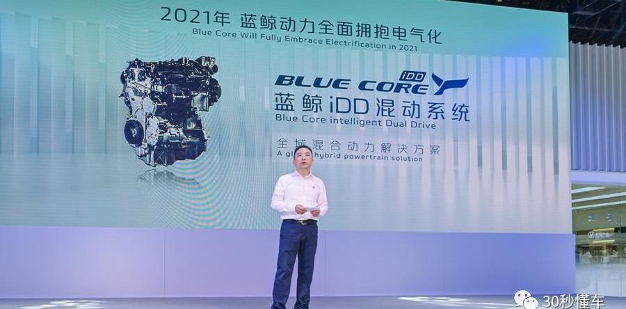 鲸,长安,比亚迪,长城