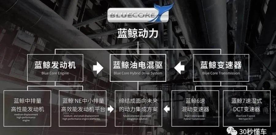 鲸,长安,比亚迪,长城