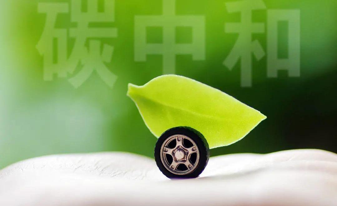 北京,九龙,发现