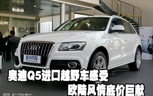 奥迪,中兴,奥迪A3,欧陆