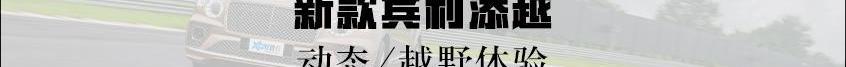 宾利,添越,奥迪