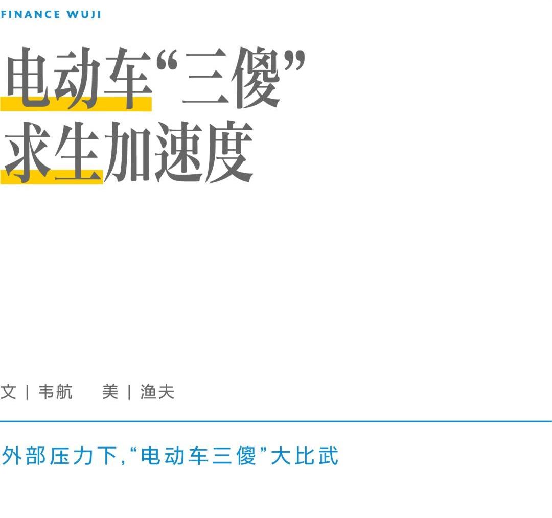 蔚来,小鹏,特斯拉,理想汽车,大众