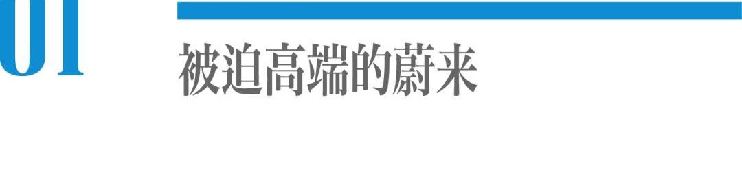 蔚来,小鹏,特斯拉,理想汽车,大众