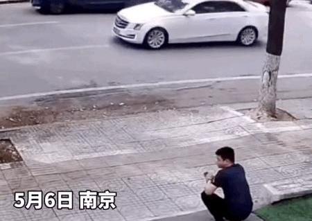 特斯拉,Model 3,Model S,Model Y,发现