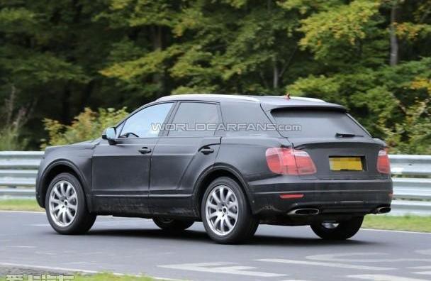 宾利,大众,兰博基尼,Urus,奥迪