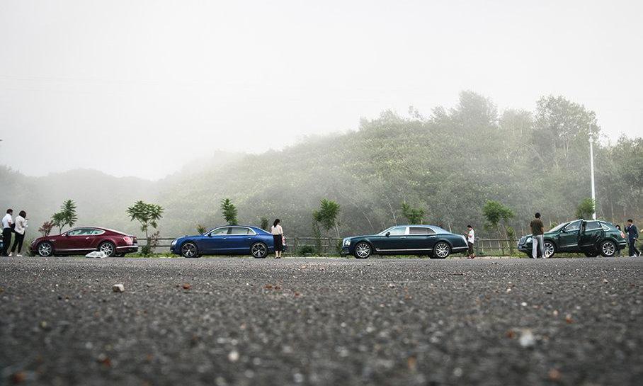 宾利,飞驰,发现,欧陆,添越