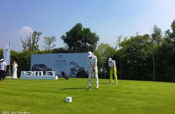 宾利,高尔夫,飞驰,添越,欧陆