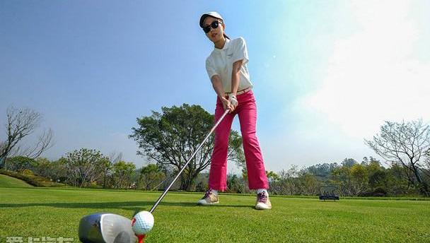 宾利,高尔夫,飞驰,添越,欧陆