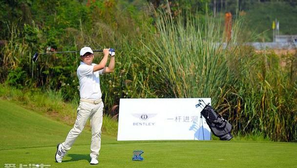 宾利,高尔夫,飞驰,添越,欧陆