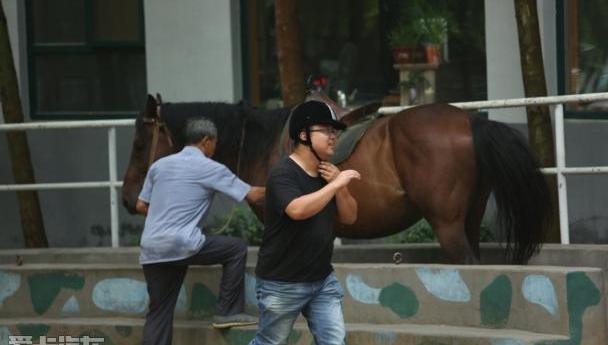 宾利,欧陆,添越,飞驰