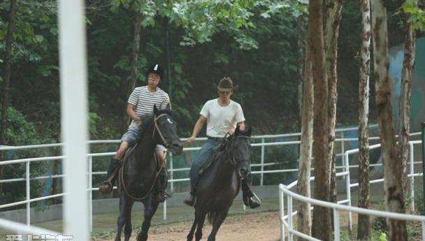 宾利,欧陆,添越,飞驰