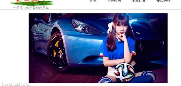 欧陆,海豚