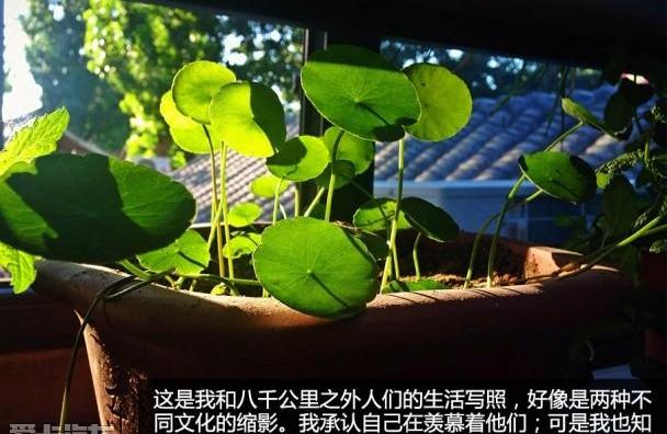北京,优越