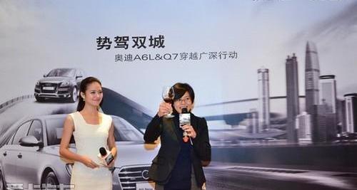 奥迪,奥迪A6L,奥迪A6,奥迪Q7,大众