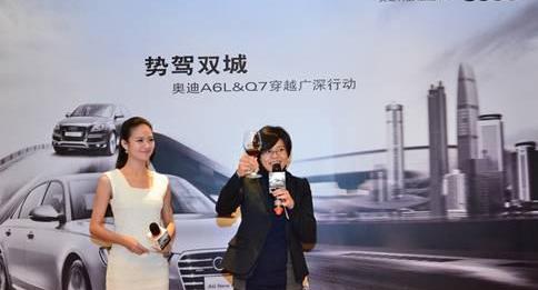 奥迪,奥迪A6L,奥迪A6,奥迪Q7,大众