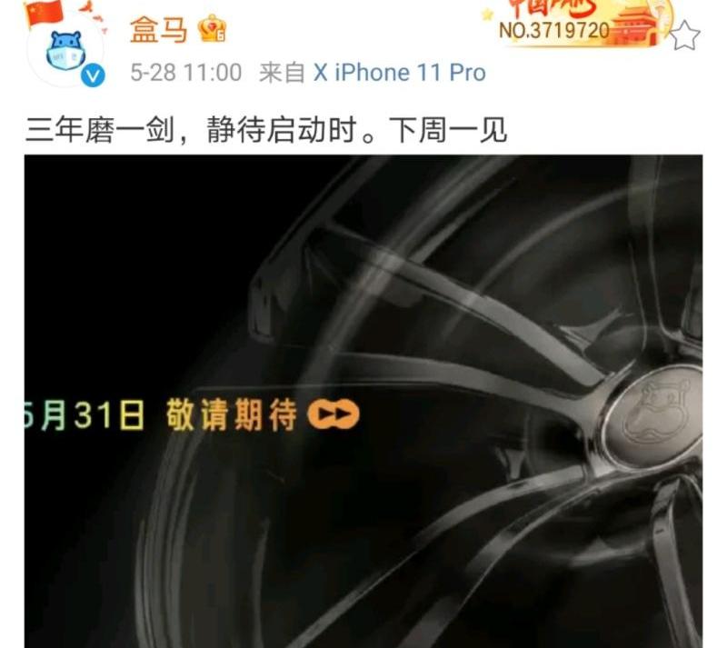 鲸
